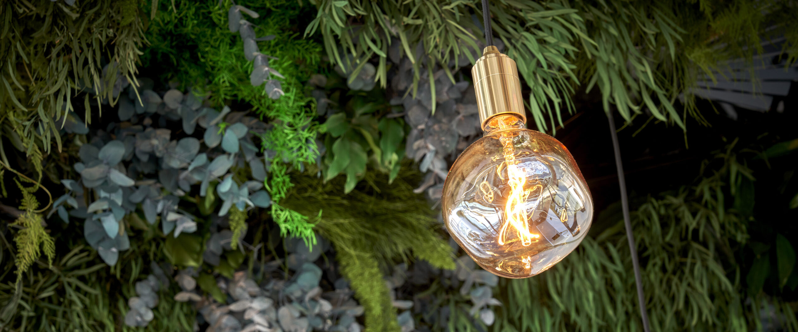 Chameleon Offices biophilic design